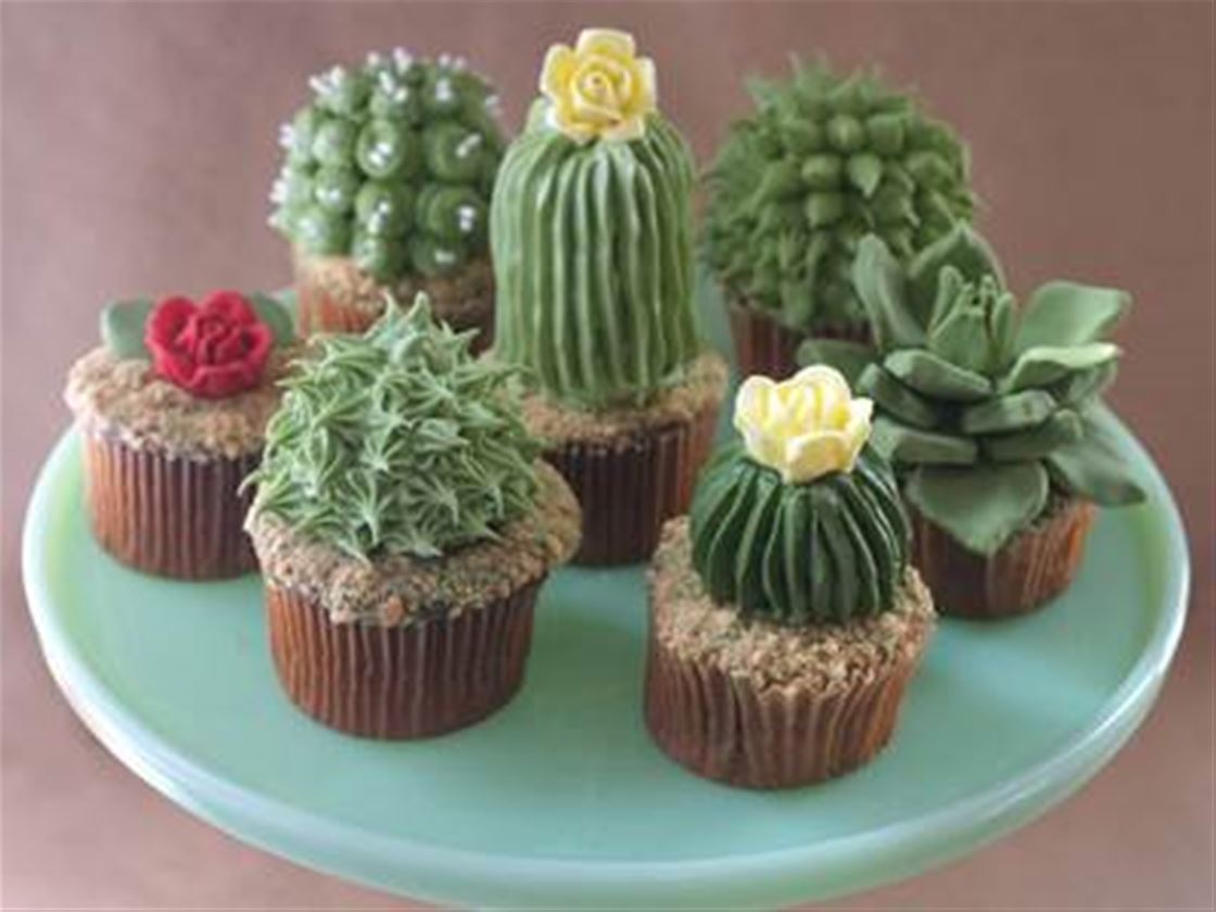 house plant cupcakes house plant cupcakes