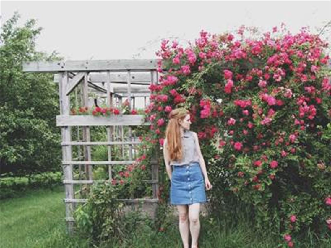 anna allen clothing anna allen clothing