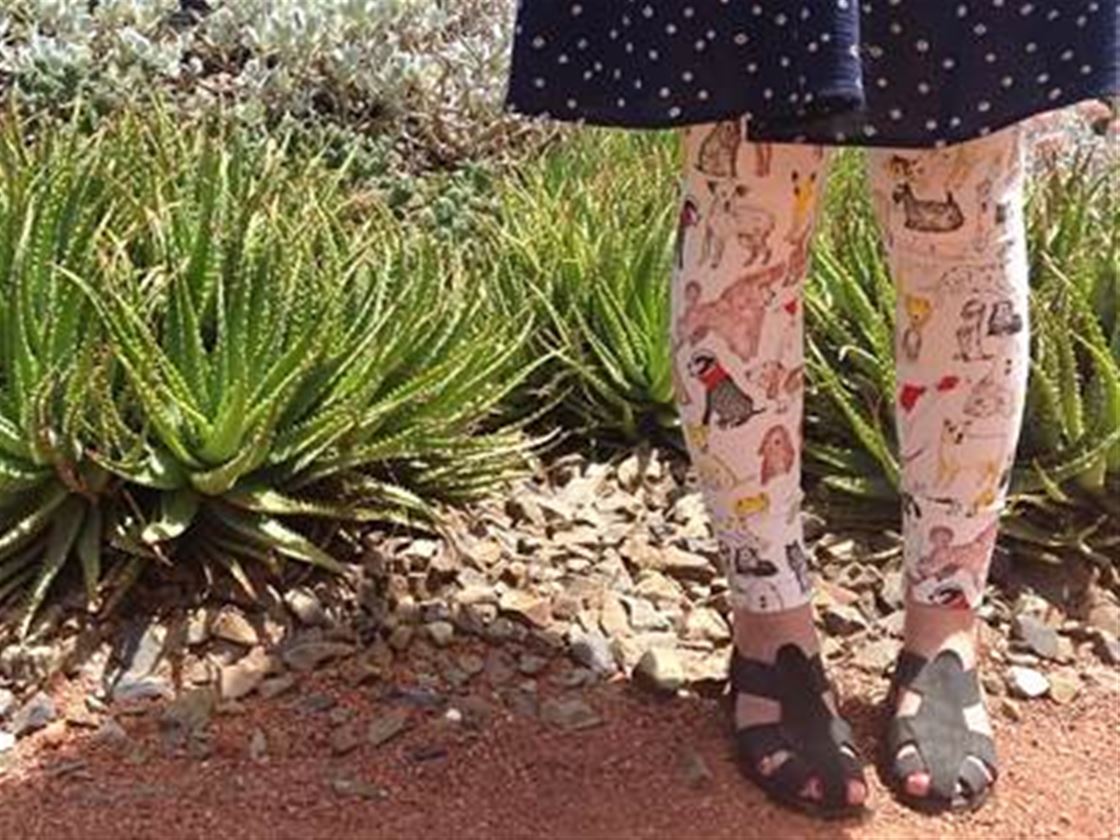 stuff mondays - dog print duds stuff mondays - dog print duds