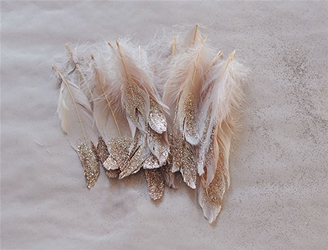 frankie diy - glitter feathers frankie diy - glitter feathers