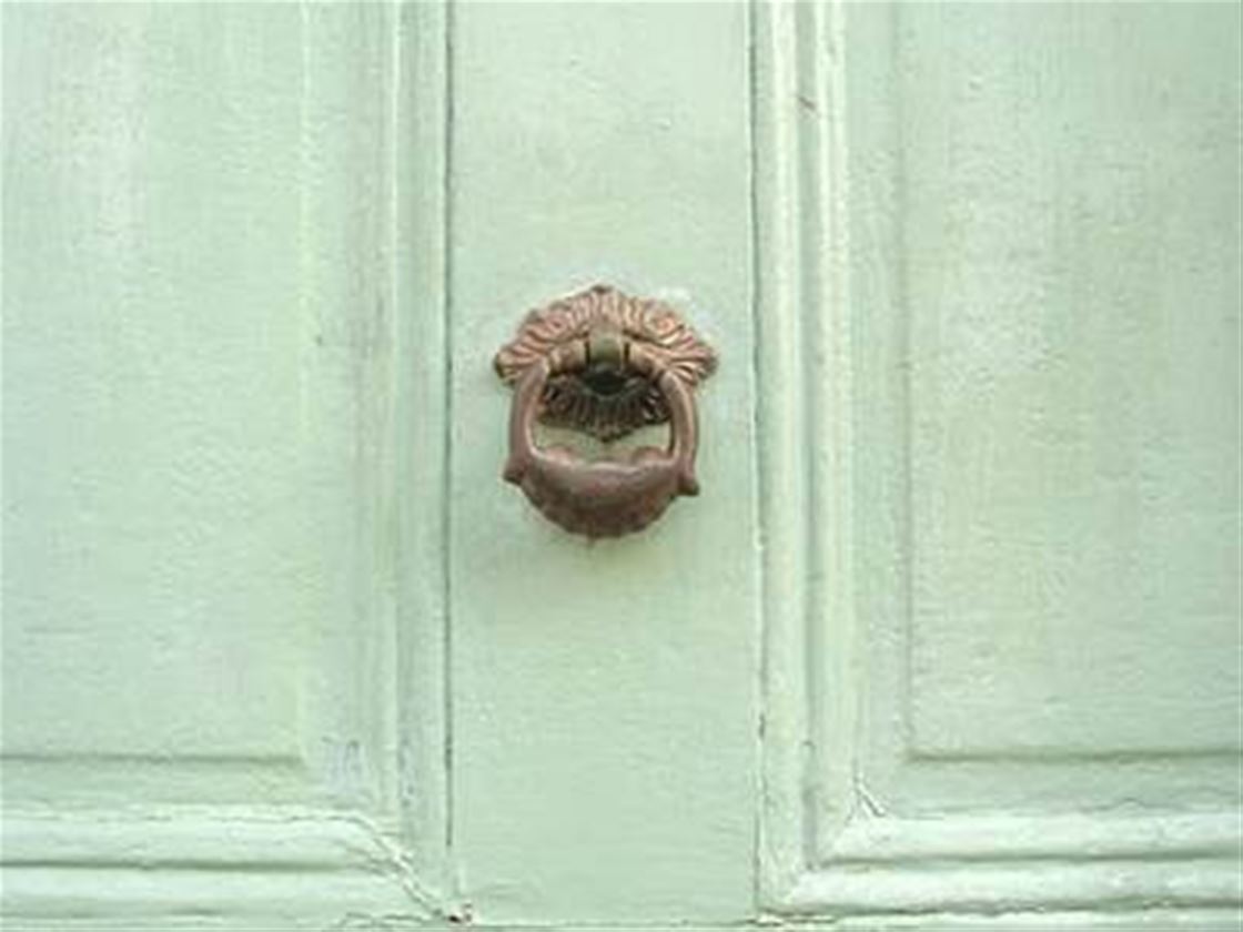 frankie's new-look newsletter frankie's new-look newsletter