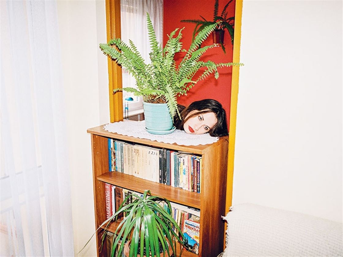 networking for introverts networking for introverts