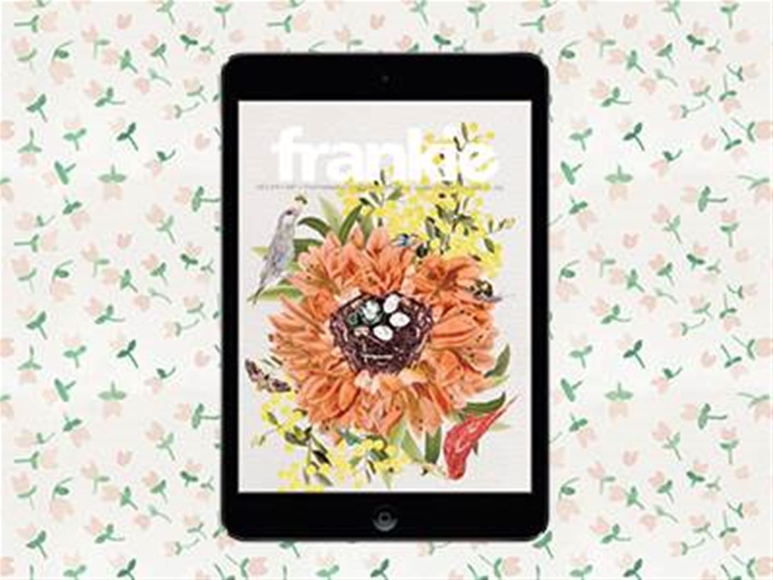 frankie ipad app is go frankie ipad app is go