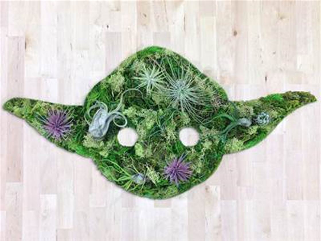 star wars wall gardens star wars wall gardens