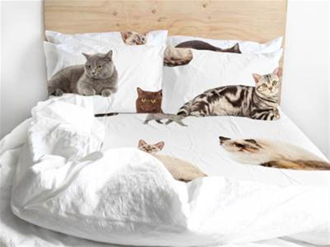 the odd collective bedding
