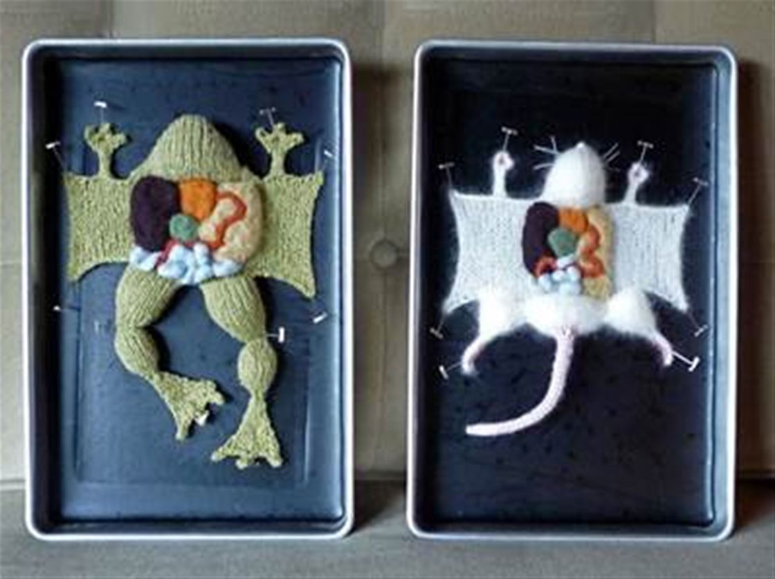 knitted gizzards knitted gizzards