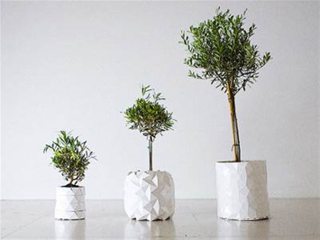 the incredible expanding origami pot the incredible expanding origami pot