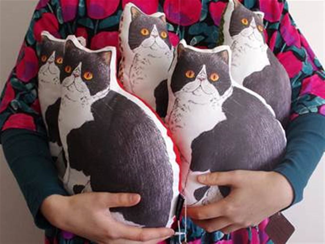 put a kitty on it put a kitty on it