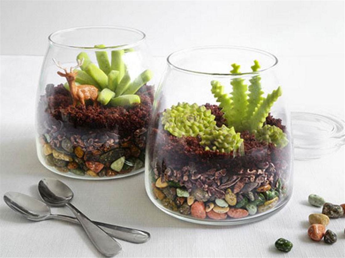 terrariums for dessert terrariums for dessert