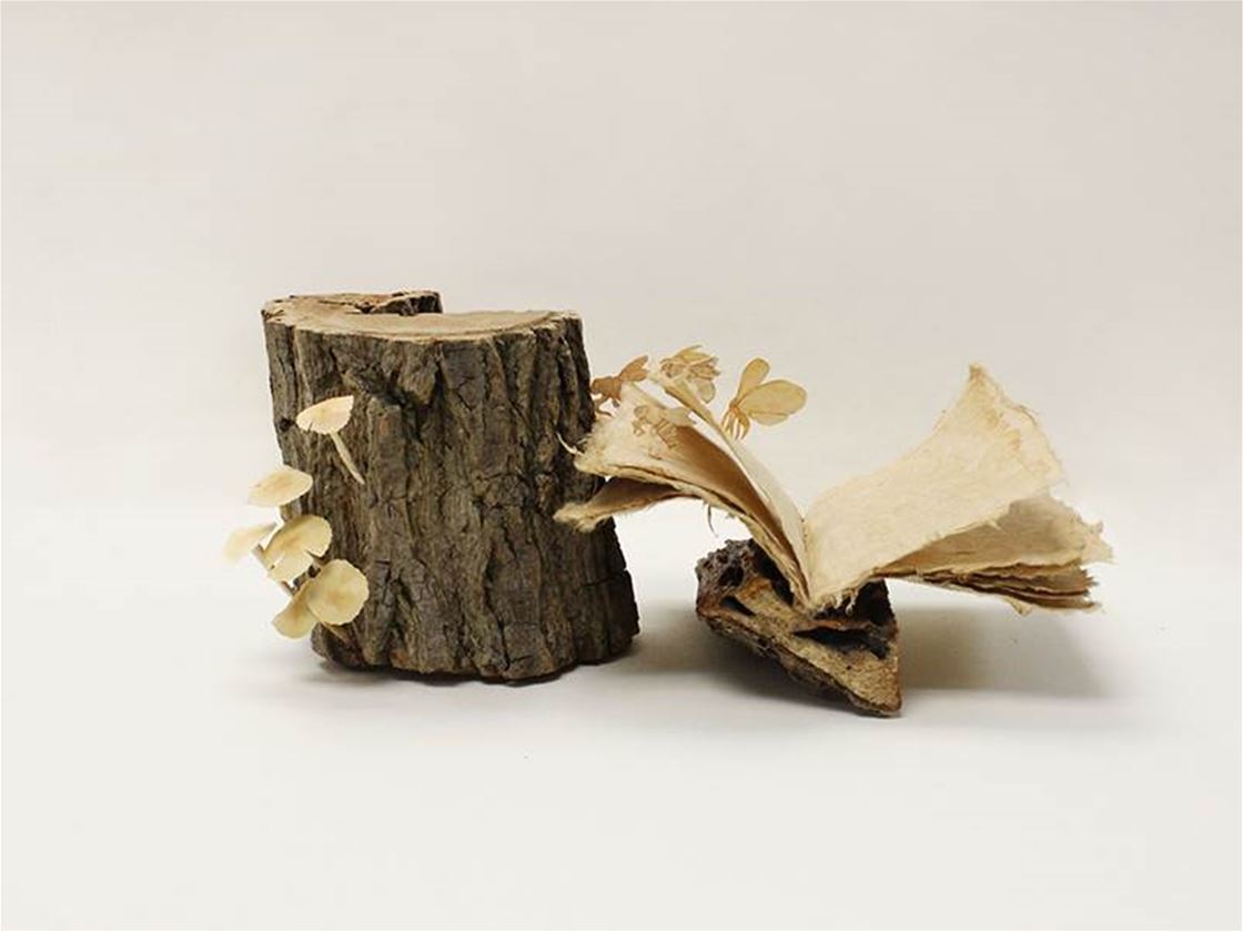 a very woody book a very woody book