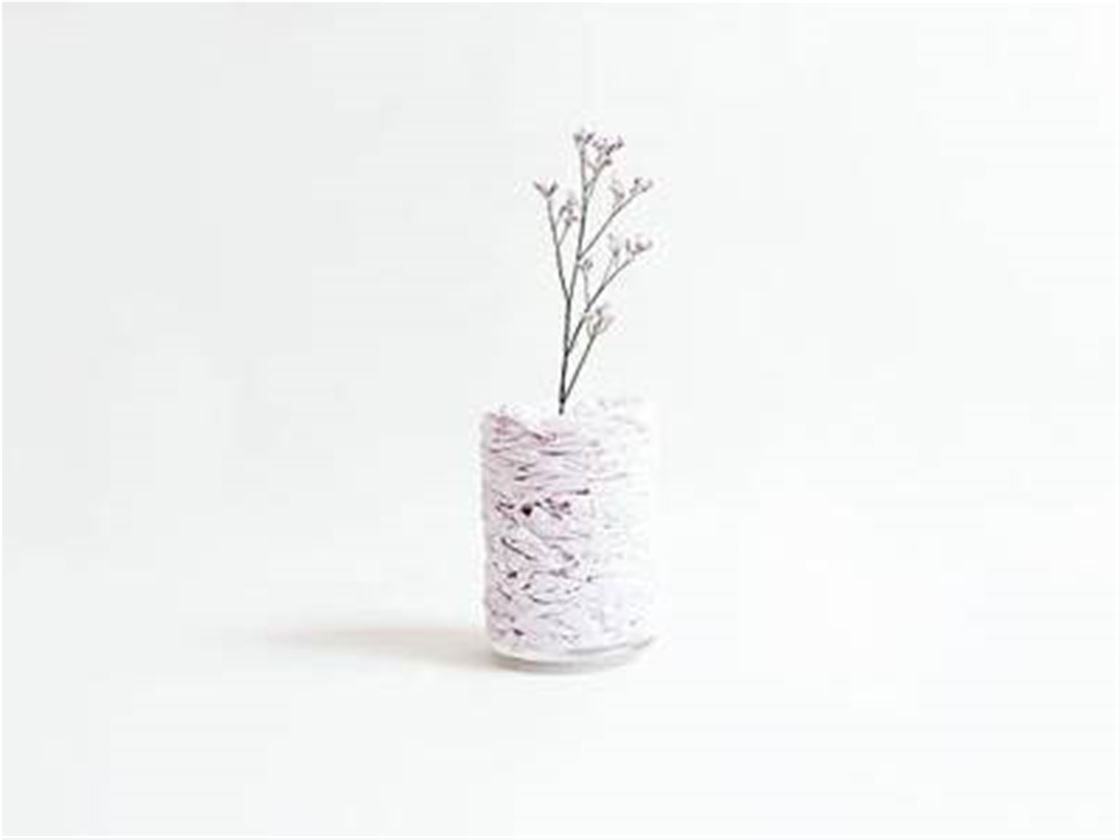 the paper pot the paper pot