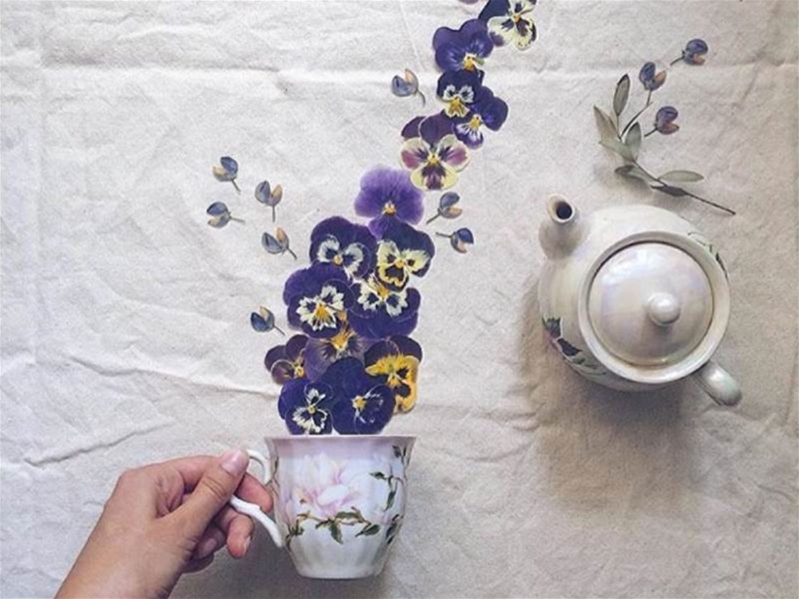 tea teaser tea teaser