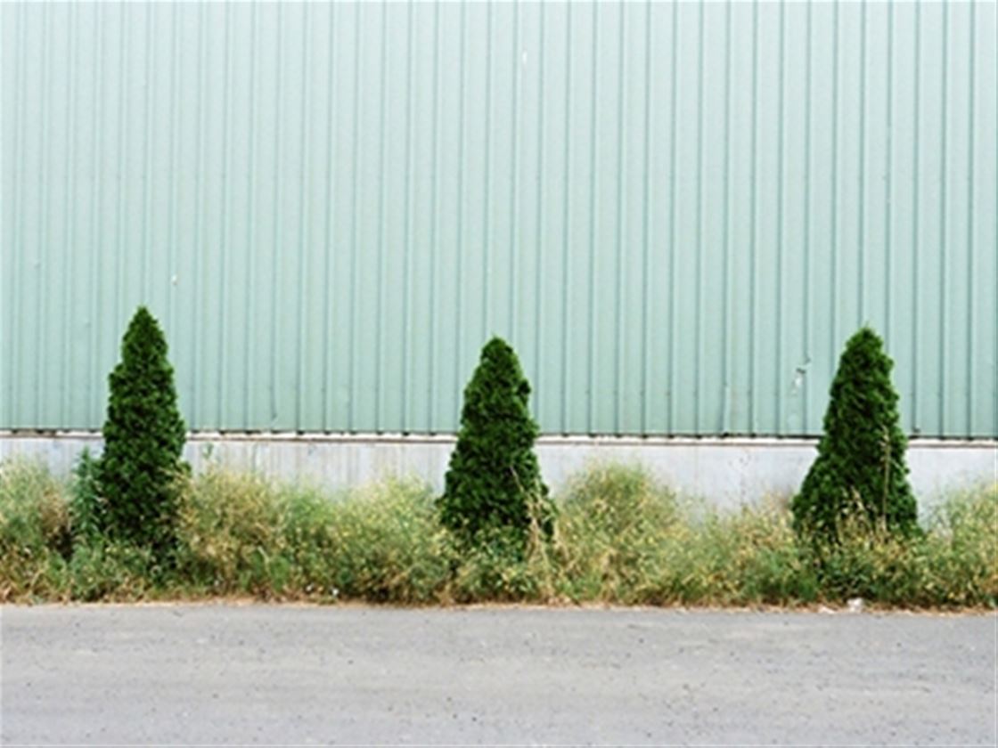 paul hermes photography interview paul hermes photography interview