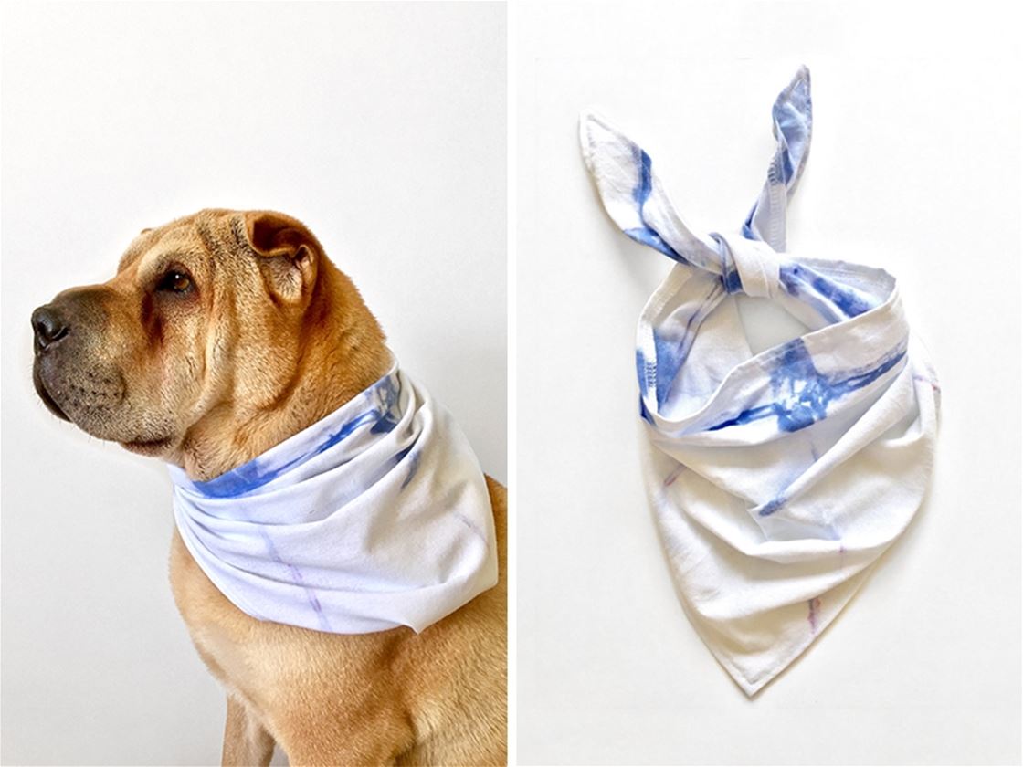 a little chat with bambino and bone a little chat with bambino and bone