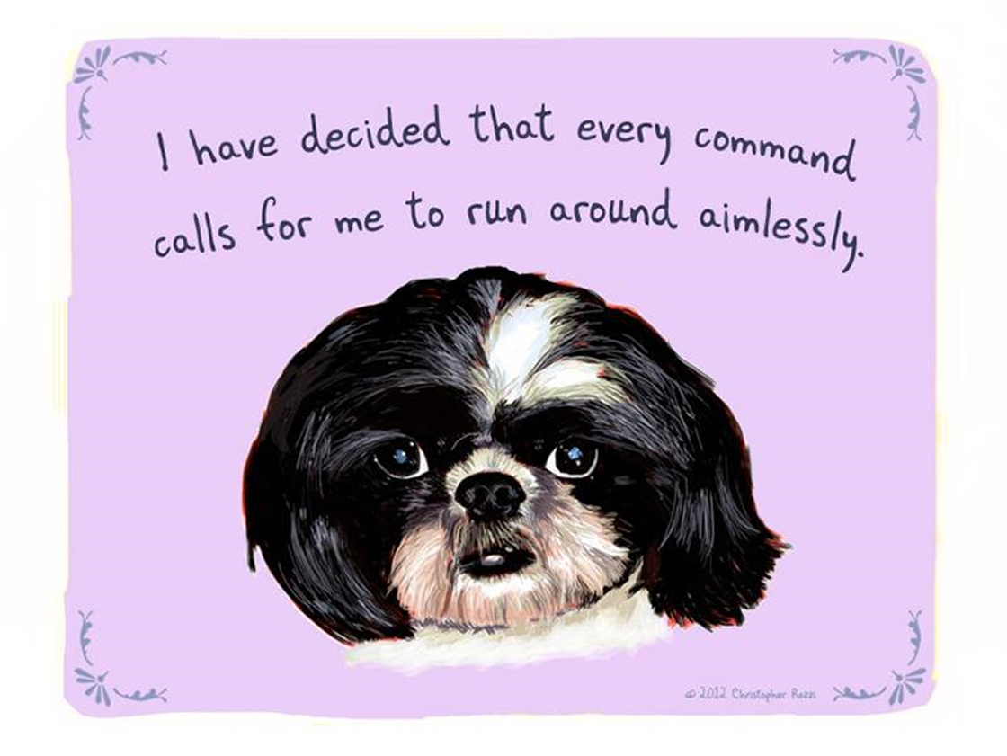 tiny confessions pet portraits tiny confessions pet portraits