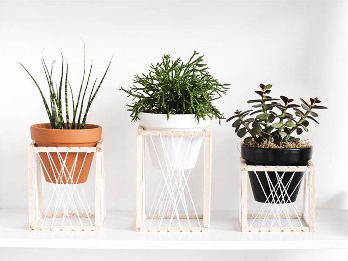 diy plant throne diy plant throne