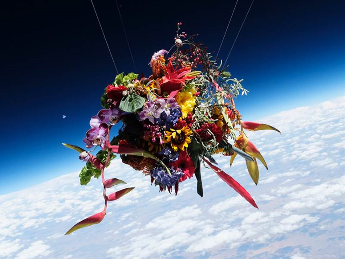 flowers in space flowers in space