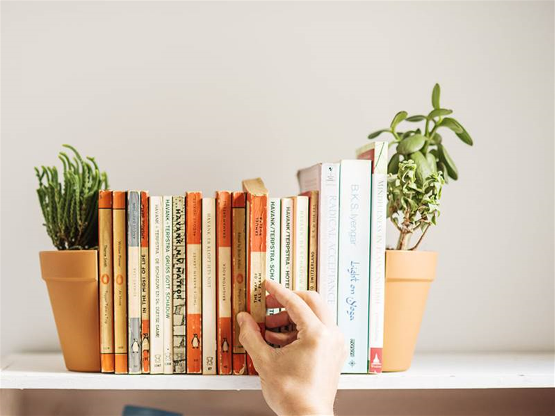 pot plant bookends pot plant bookends