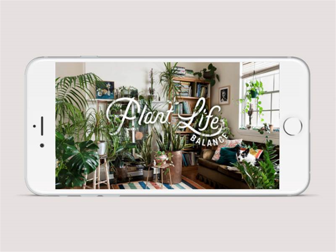 plant life balance: the app plant life balance: the app