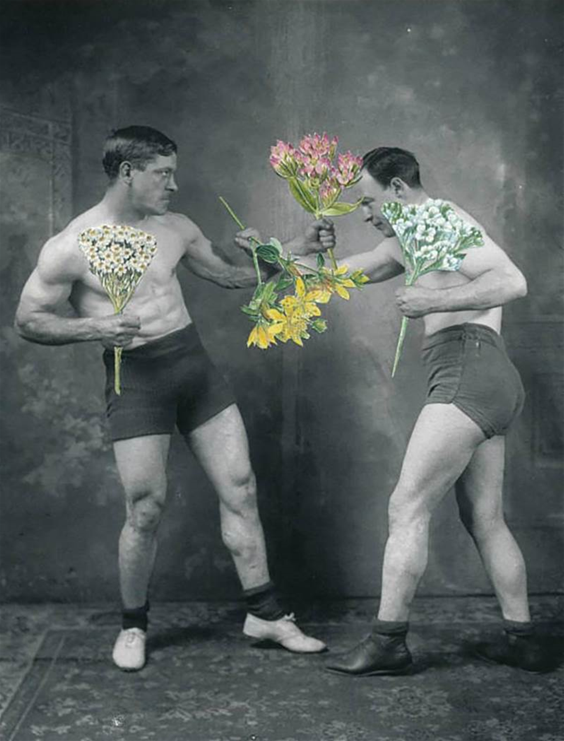 make love, not biffo make love, not biffo