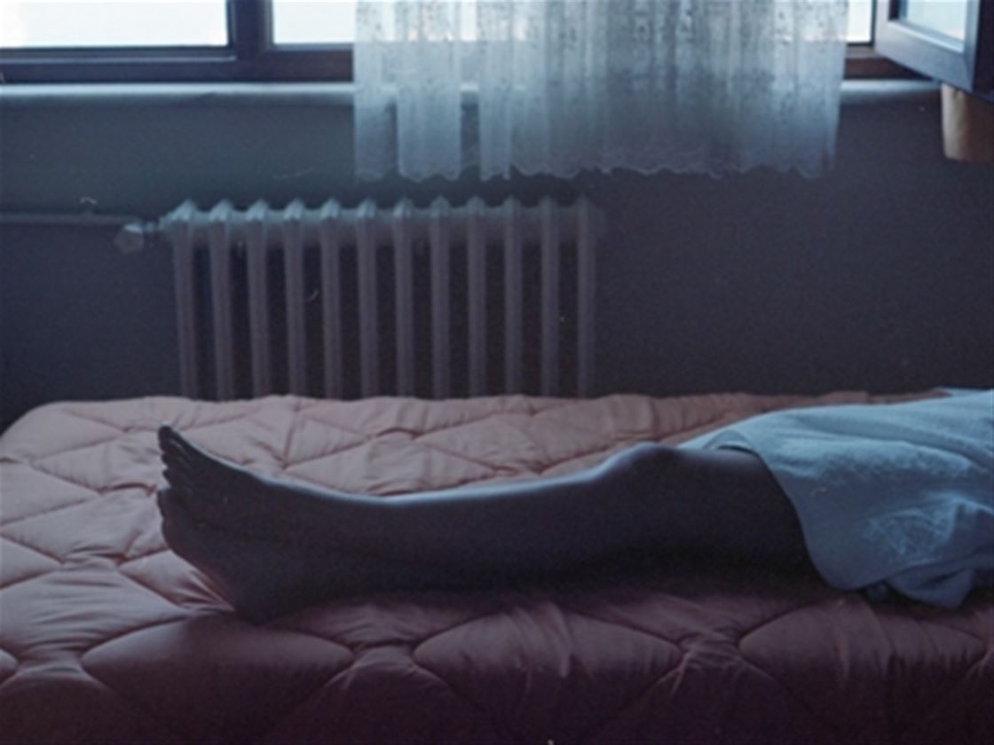 five films to watch when you don't want to leave your bed cocoon five films to watch when you don't want to leave your bed cocoon