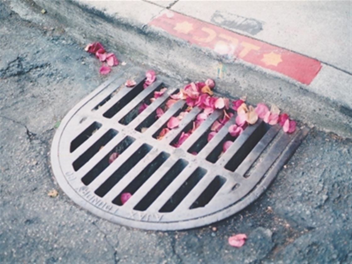 anna hollow photography interview anna hollow photography interview