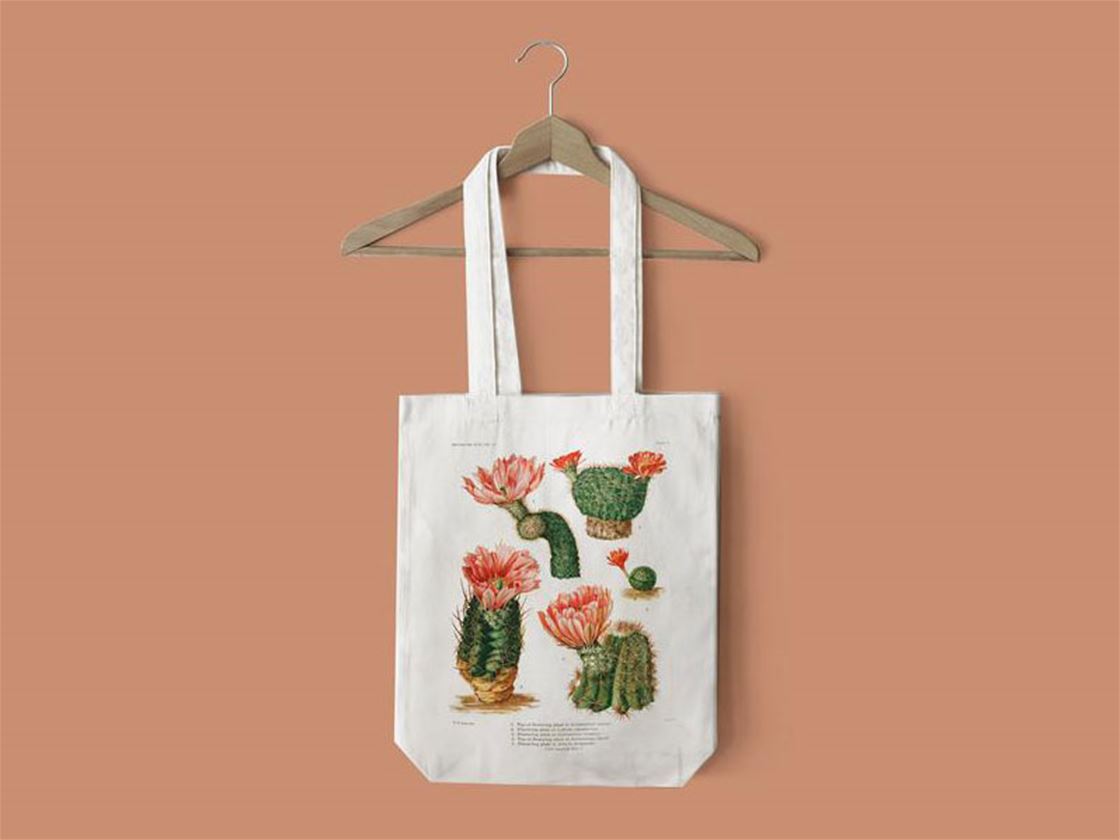 cactus totes cactus totes