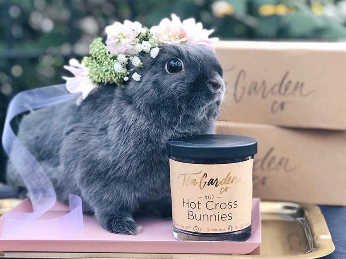 stuff mondays – hot cross bunnies tea stuff mondays – hot cross bunnies tea