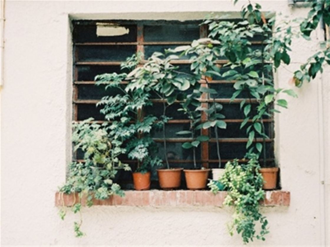 rose liu photography interview rose liu photography interview