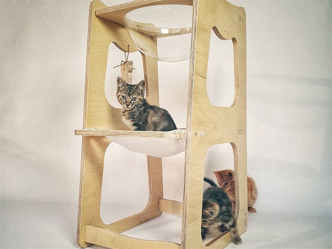 wooden goodies for cats wooden goodies for cats