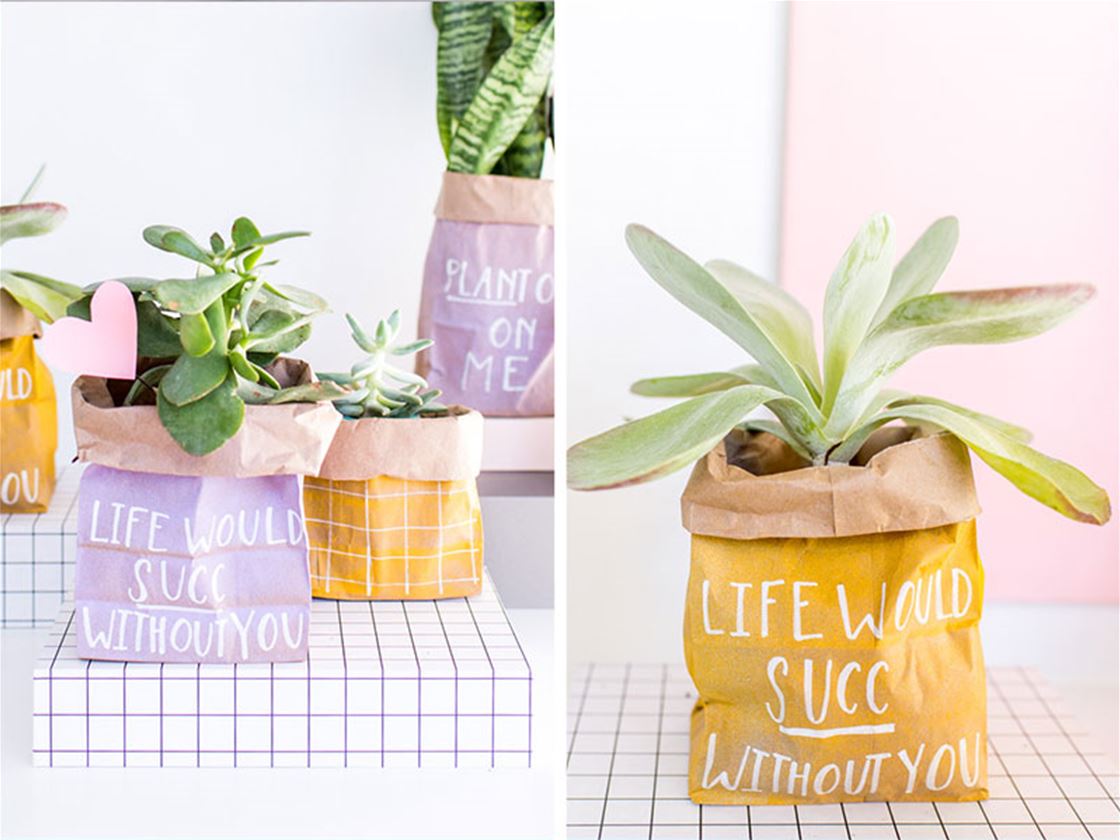 diy valentine’s day plant bag diy valentine’s day plant bag