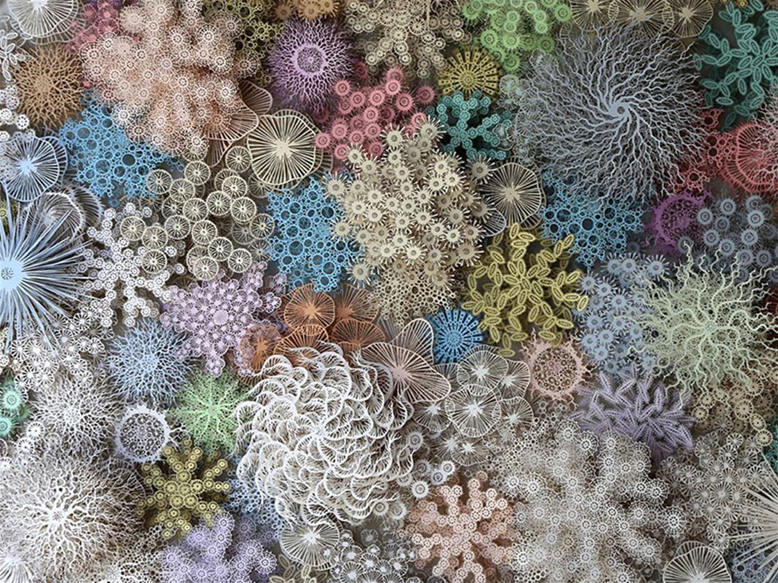 rogan brown’s paper sculptures rogan brown’s paper sculptures