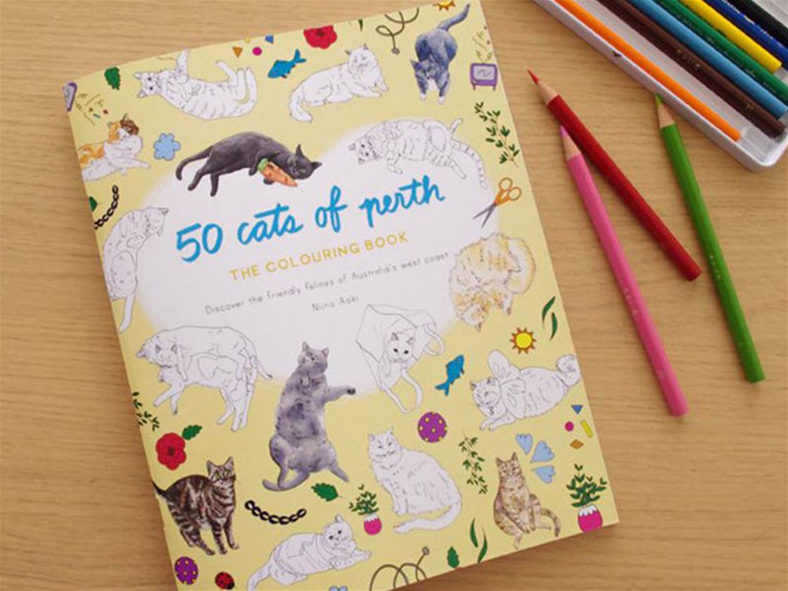 cats of perth colouring book cats of perth colouring book