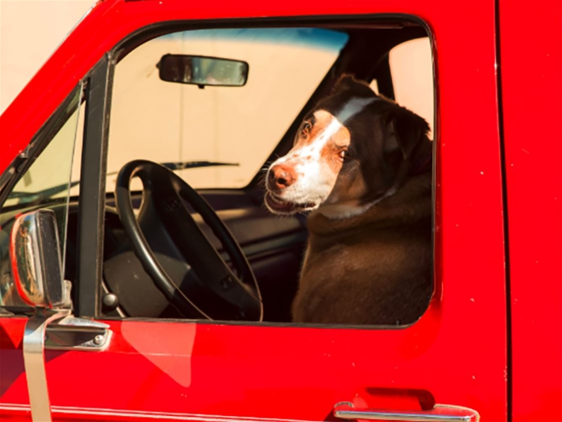 levi mandel photography levi mandel photography