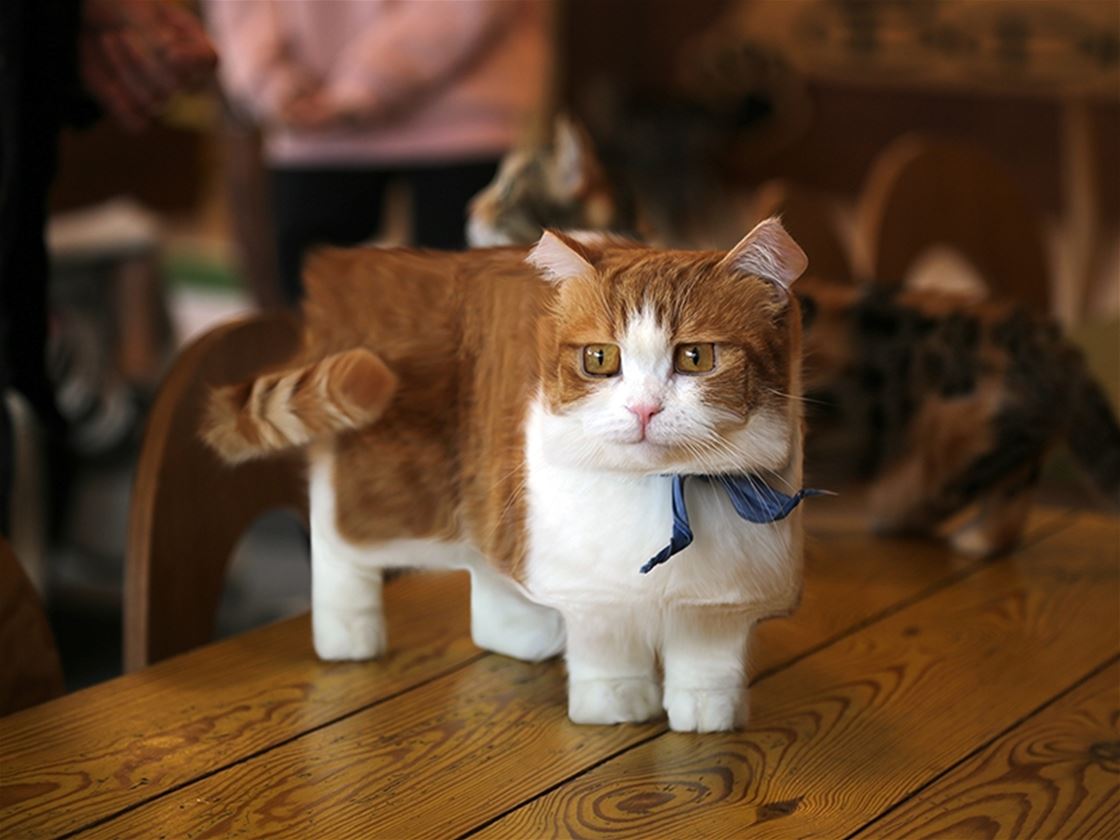 minecraft in real life minecraft in real life