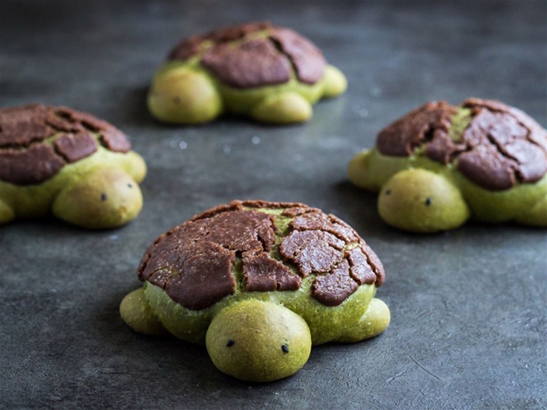 matcha milk bread turtles matcha milk bread turtles