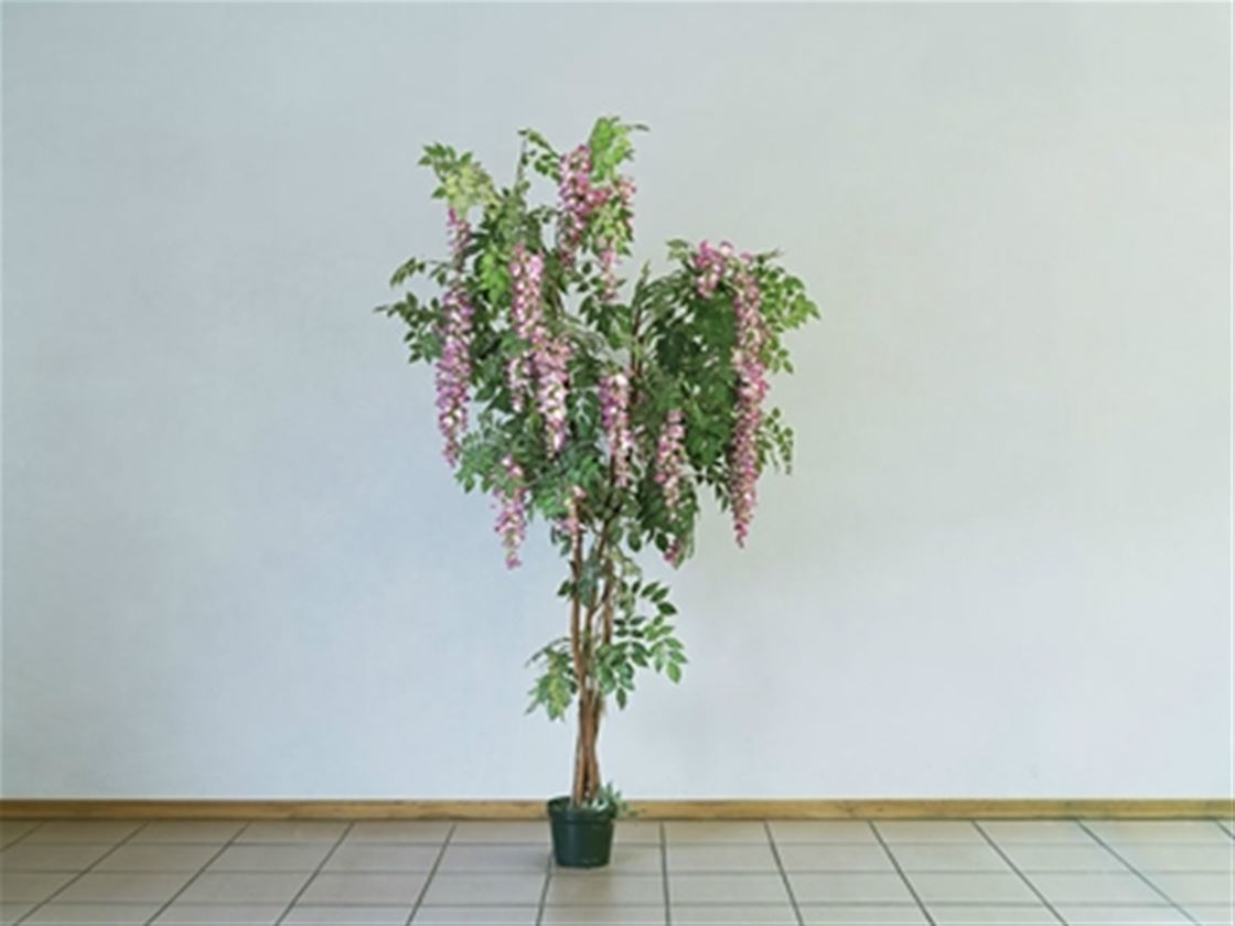 kate peters' photography interview kate peters' photography interview