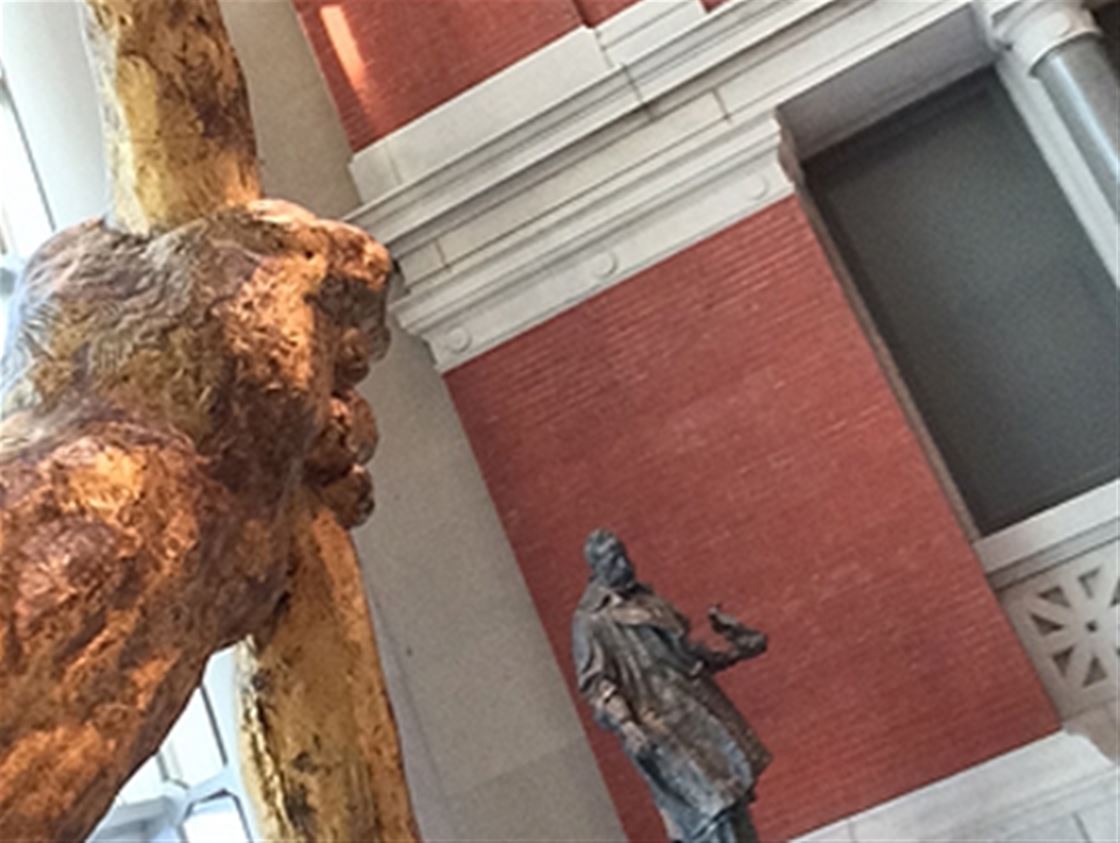 what they see what they see