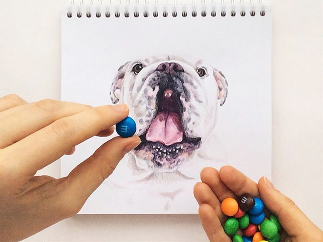 interactive dog illustrations interactive dog illustrations