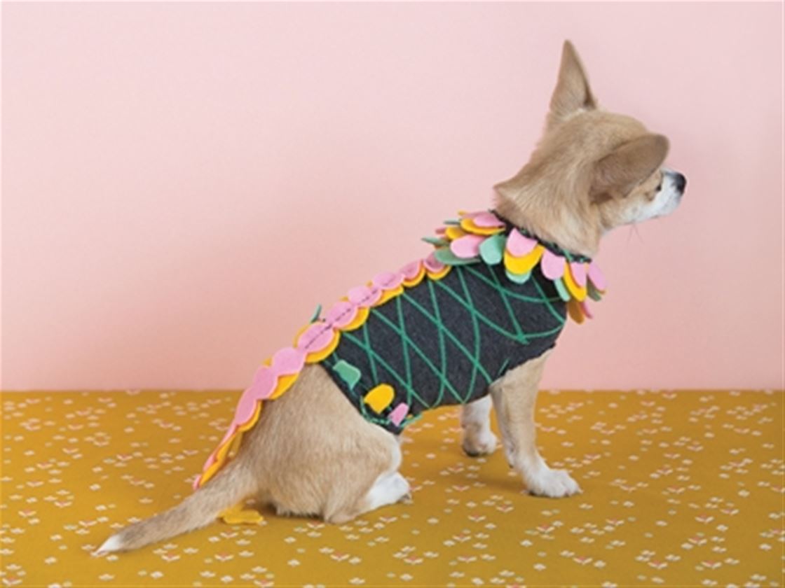 a little bit crafty: the sock-a-saurus a little bit crafty: the sock-a-saurus