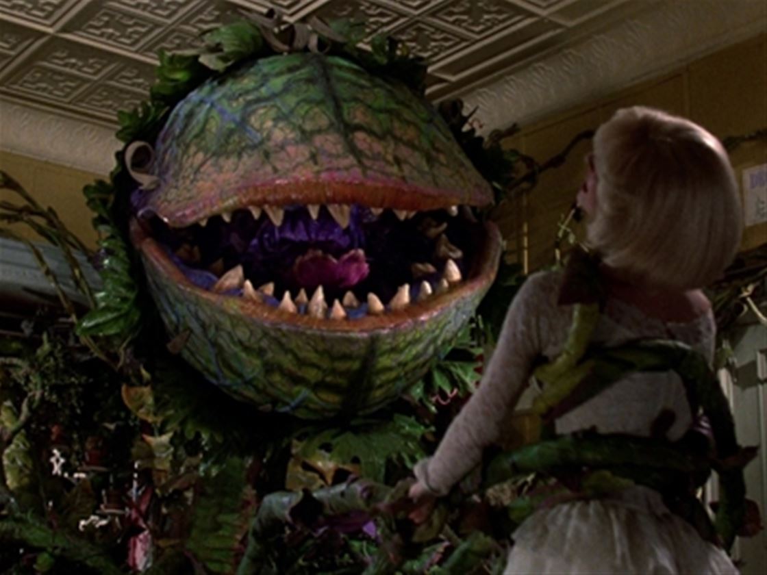 five not-too-scary films to watch this halloween five not-too-scary films to watch this halloween