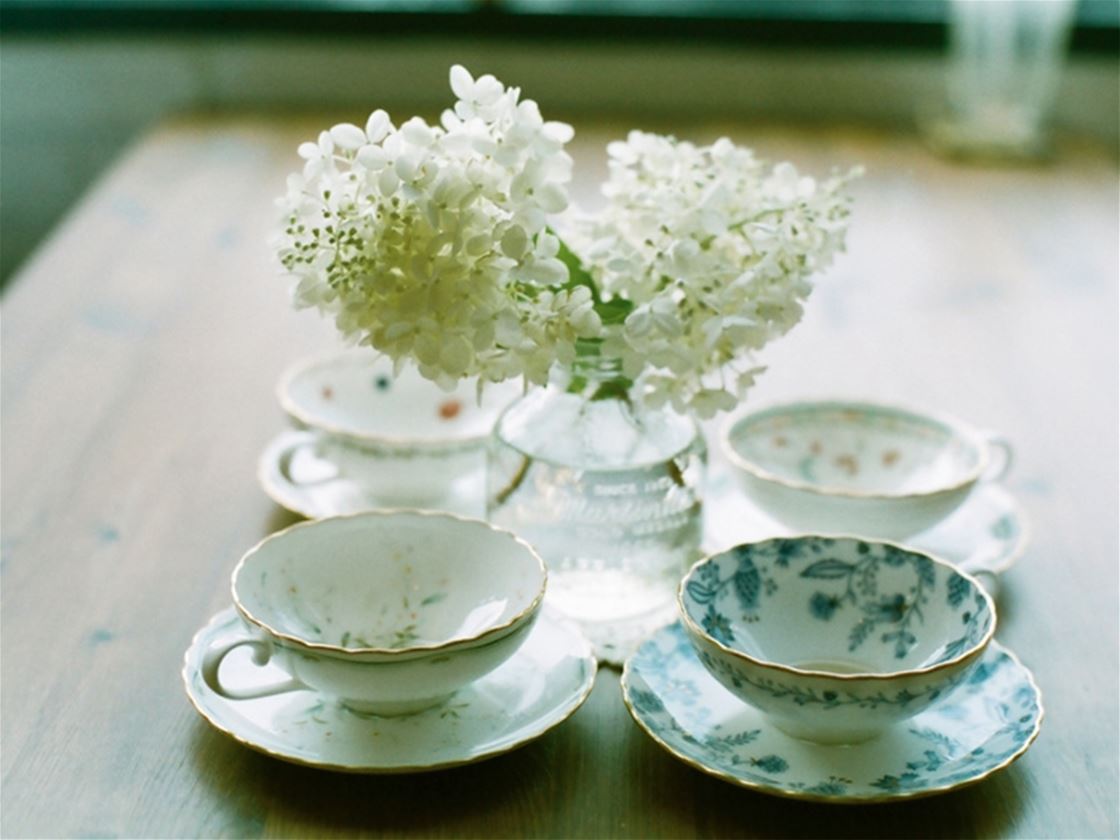 melbourne tea festival 2017 melbourne tea festival 2017