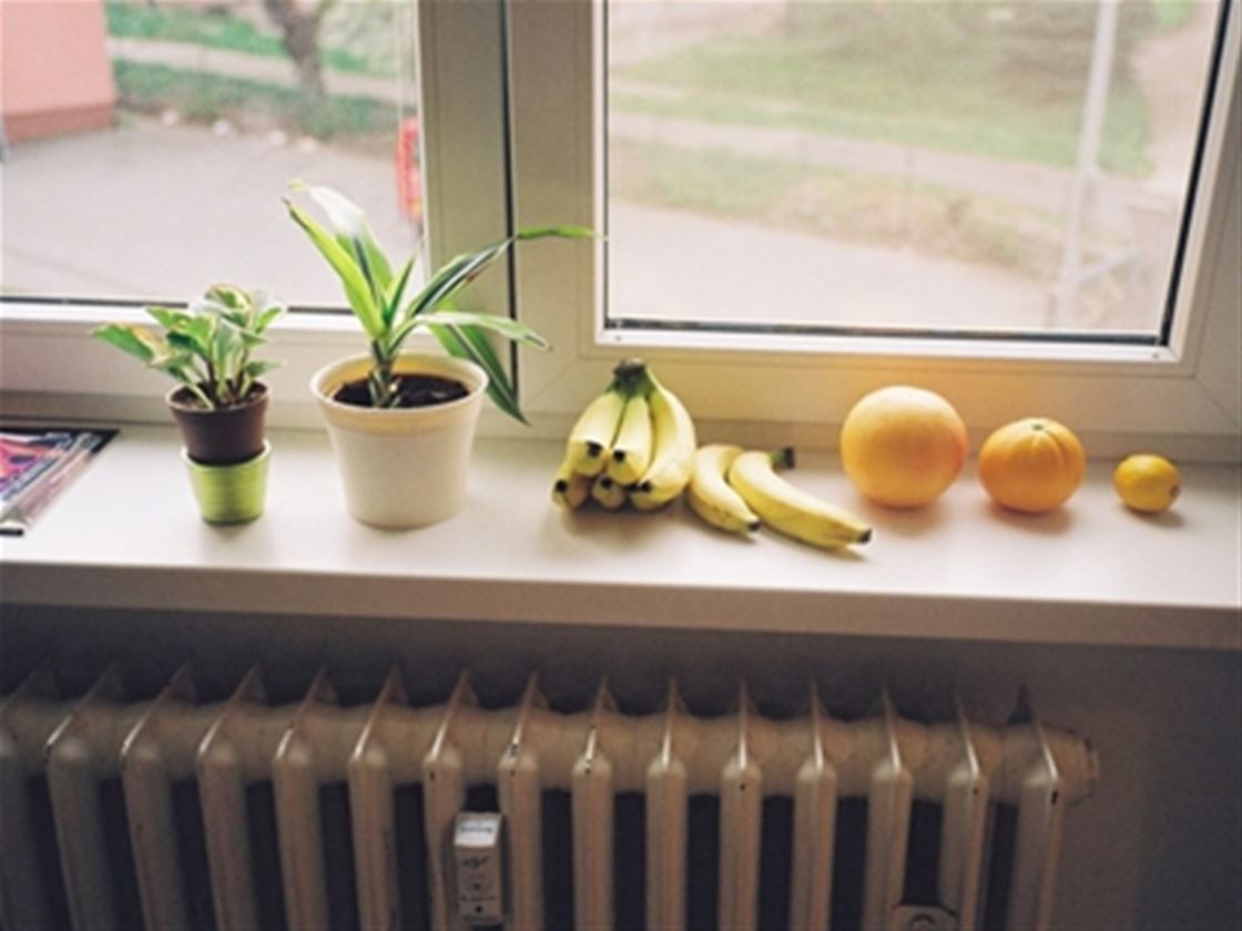 marija mandic photography interview marija mandic photography interview