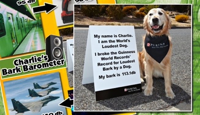 Charlie's Bark Barometer Charlie's Bark Barometer