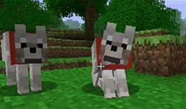 Minecraft Quiz 8 Minecraft Quiz 8
