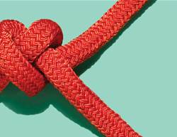 5 Persistent Myths About Heart Health, According to Cardiologists
