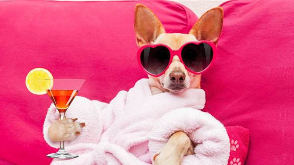 5 Hangover Cures That Actually Work (Plus 4 That Really Don&#8217;t)