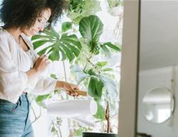 10 Air-Purifying Plants That Create a Healthier Home