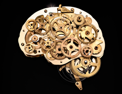 5 Science-Backed Strategies to Boost Memory and Fight Cognitive Decline