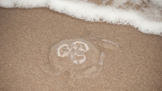 6 Crazy Mysteries That Have Never Been Solved